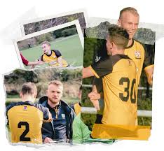 Image result for Ashtead Football Club