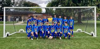 Image result for Hamilton Panthers Association Football Club