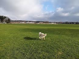 Image result for Saddleworth Cricket Bowling & Tennis Club