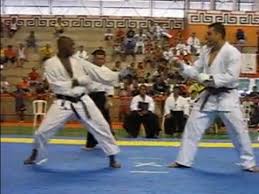 Image result for Phoenix Star Judo Club