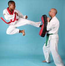 Image result for Tang Sou Dao Ren Yi Wu Kwan - Huntingdon