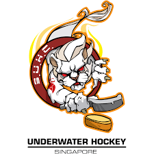 Image result for Stirling University Underwater Hockey Club