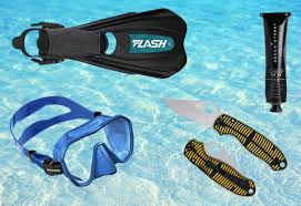 Image result for Seaquest Divers