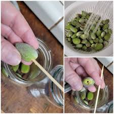 Image result for fresh green almonds