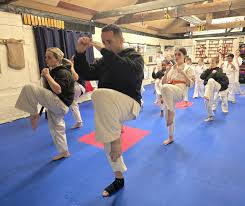 Image result for Chikara Dojo Of Kyokushin Karate