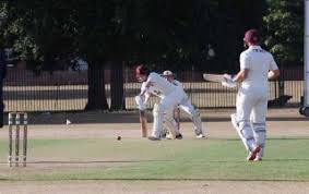 Image result for Witham Cricket Club