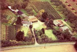 Image result for Great Plumstead Bowling Club