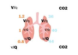 Image result for  v    q