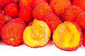 Attēlu rezultāti vaicājumam “Nardus stricta fruit”