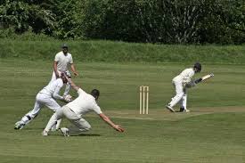 Image result for Drumpellier Cricket Club