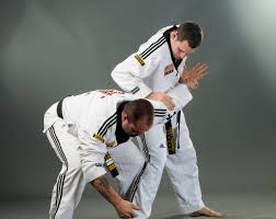 Image result for Parkgate Taekwondo Club