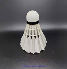 Image result for Feathers Badminton- Leatherhead
