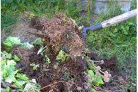 compost en tas