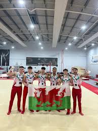 Image result for City Of Leeds Gymnastics Club