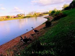 Image result for Barton Under Needwood Cc