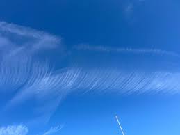 Attēlu rezultāti vaicājumam “Cirrus fibratus”