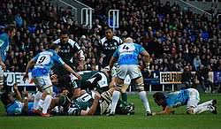 Image result for London Irish Rfc