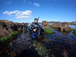 Image result for Breakwater Divers