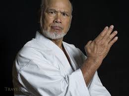 Image result for Imi Jishin Ryou karate do