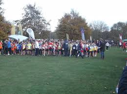 Image result for Haslemere Border Athletic Club