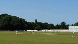 Image result for Tendring Cricket Club
