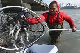 Image result for Byfleet Angling Association