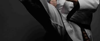 Image result for Eurokwai Shotokan Karate Club