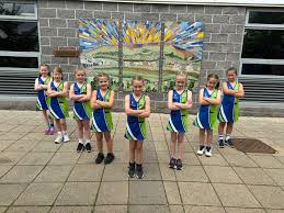 Image result for Ribble Valley Netball Club