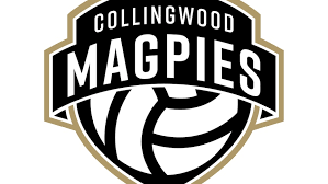 Image result for Ledbury Magpies Netball Club
