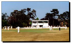 Image result for Hadleigh Cricket Club