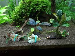 Image result for 201205.html#201205031