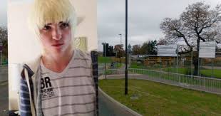 Image result for Ifield CC