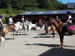 Image result for Bookham Riding School