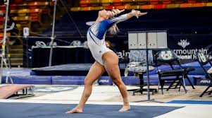 Image result for Wade Gymnastics Club