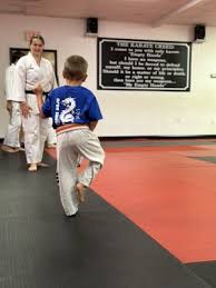 Image result for Excalibur Shotokan Karate Club
