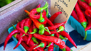 Afbeeldingsresultaat voor cayenne blend hot pepper