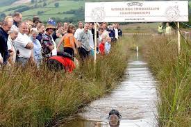 Image result for Bog Snorkelling Championships