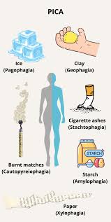 Attēlu rezultāti vaicājumam “Pica pica”