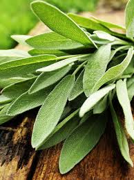 Image result for Salbei