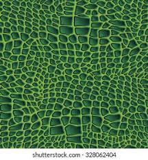Image result for reptile scales