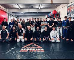 Image result for Scorpion Martial Arts Academy