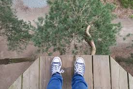 Image result for The Go Ape Experience (Delamere Forest)