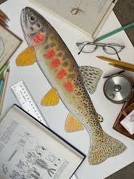 Image result for Salmo ezenami