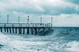 Image result for 高潮 津波 別物