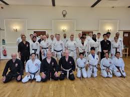 Image result for Burnham Karate Club
