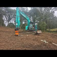 Image result for seppi tehron