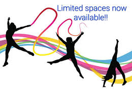 Image result for Appley Bridge Gymnastics Club