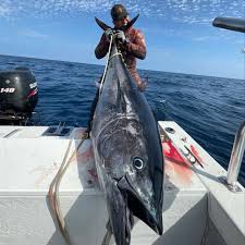 Image result for Ealing Octopush Club