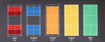 Image result for Next Generation Badminton Club