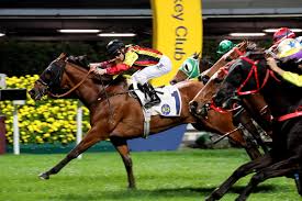 Image result for Purton Cricket Club